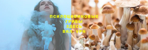 дживик Алексеевка