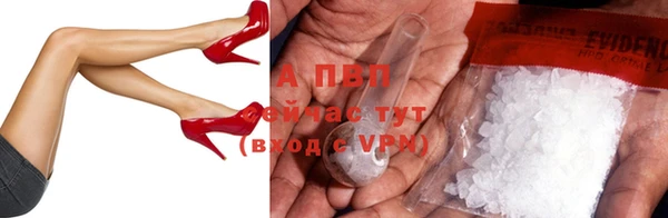 apvp Алзамай