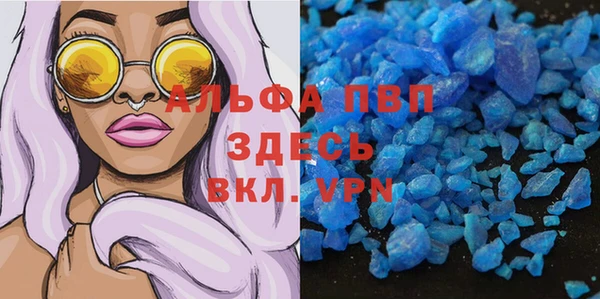 крисы Алексин