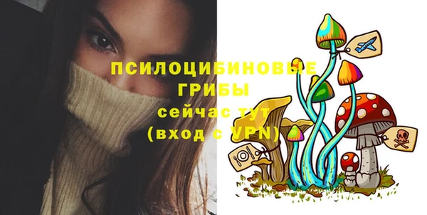 крисы Алексин