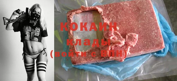 apvp Алзамай