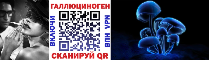 наркота Железноводск hydra сайт Псилоцибиновые грибы Cubensis
